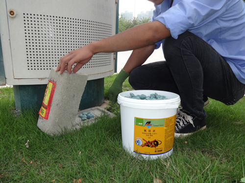 白蟻防治方法有哪些？